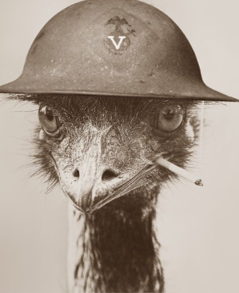 EMU.PNG