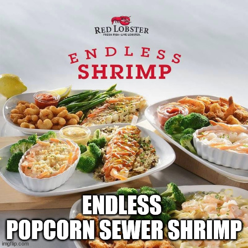 endless sewer shrimp.jpg