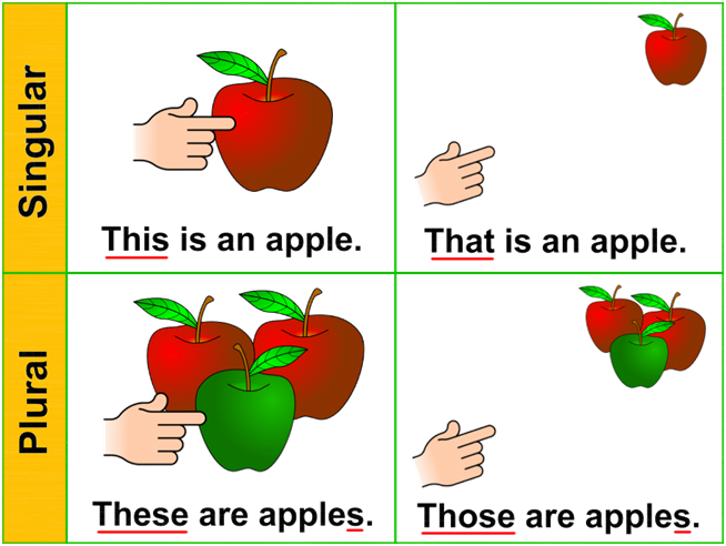 Etymology.png