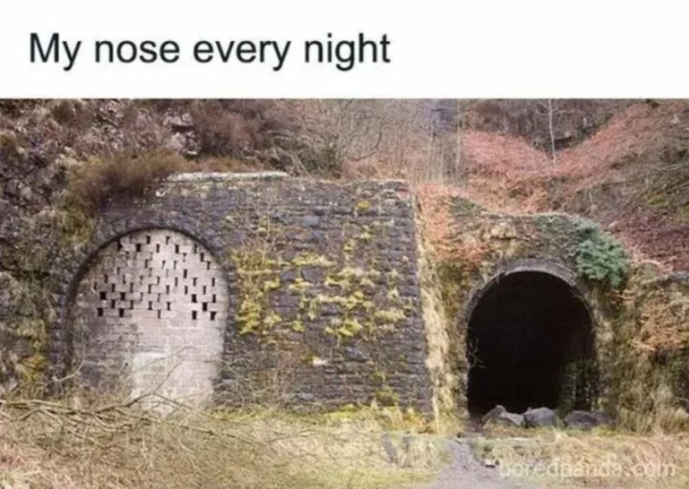 Every_Night.jpg