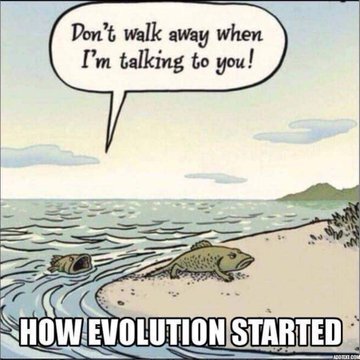 evolution.jfif.jpg