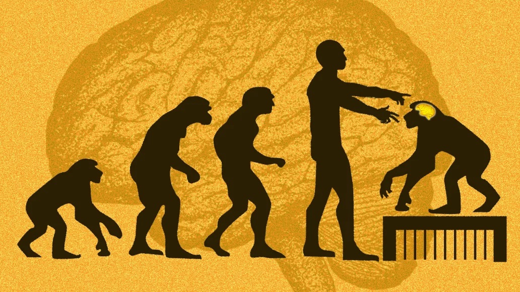 evolution666.jpg