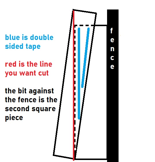 example.jpg