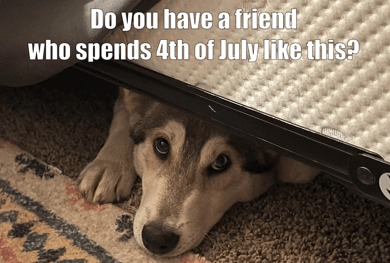 ezgif-619fa0d5796835.jpg.gif