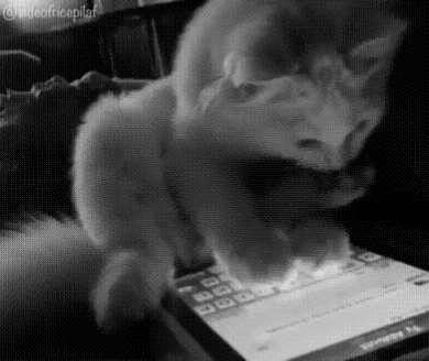 ezgif-8f50b6c22e6722.gif