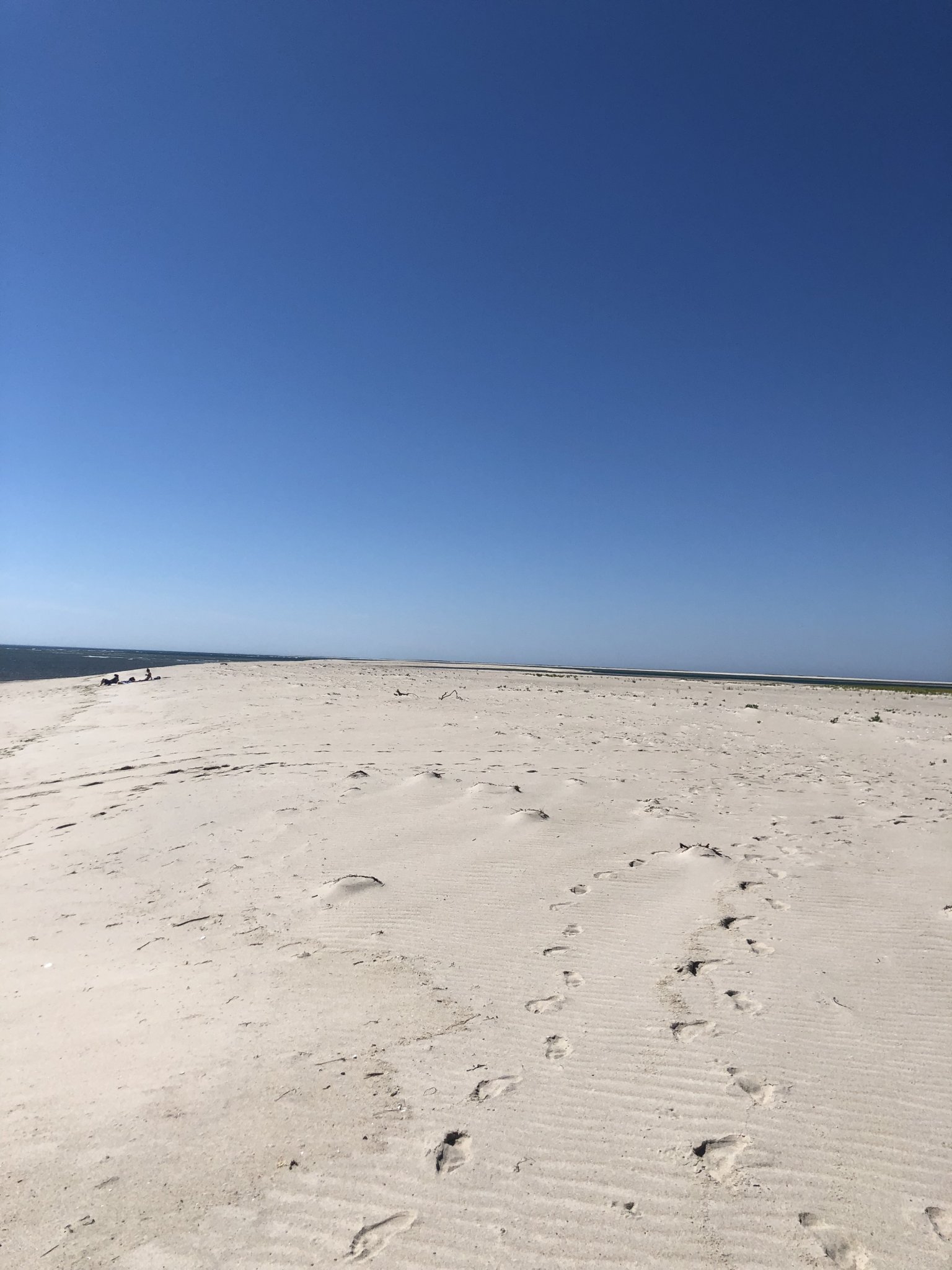 F0116563-FC25-4E6C-81E9-590BFDF77C3D.jpeg