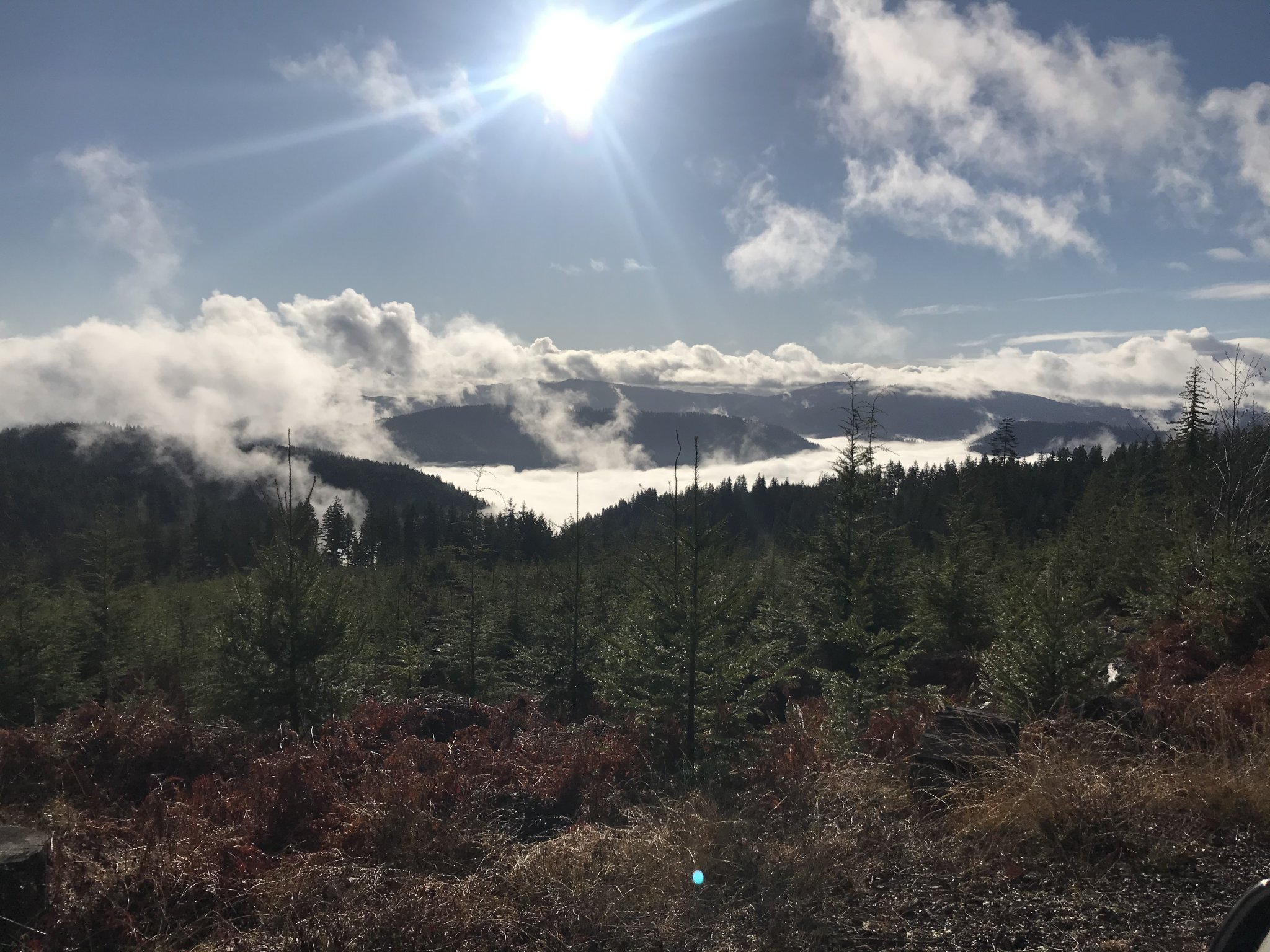 F0470255-C98B-4A48-9B66-2106314677E8.jpeg