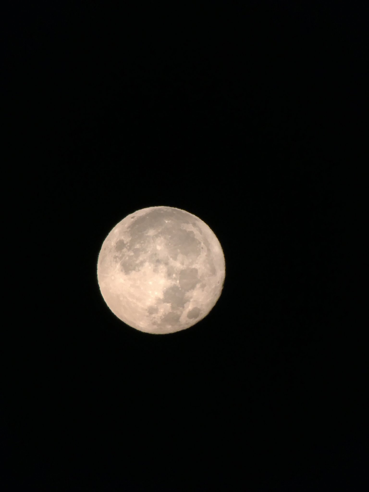 F0663B0B-520E-49AE-B654-F6028EF96D62.jpeg