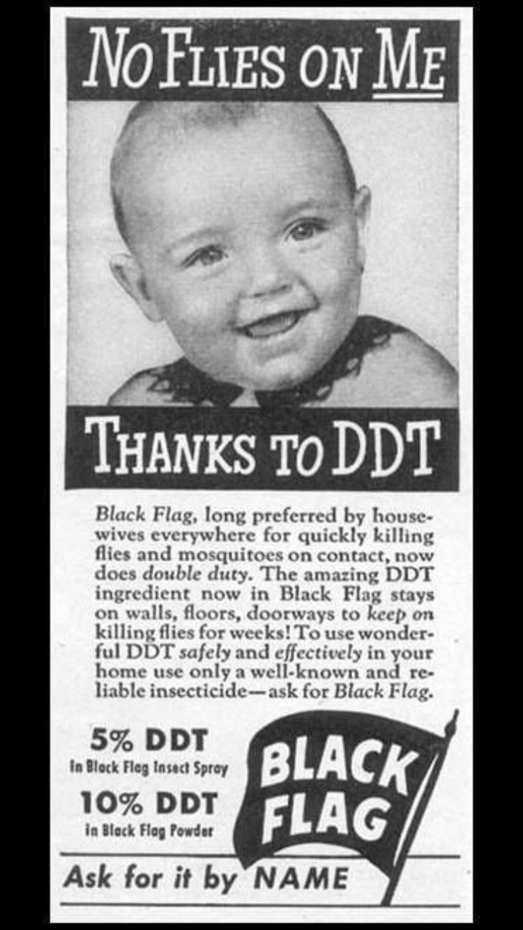 F06CD08C-5898-4CD5-8929-C24ED61ED58A.jpeg