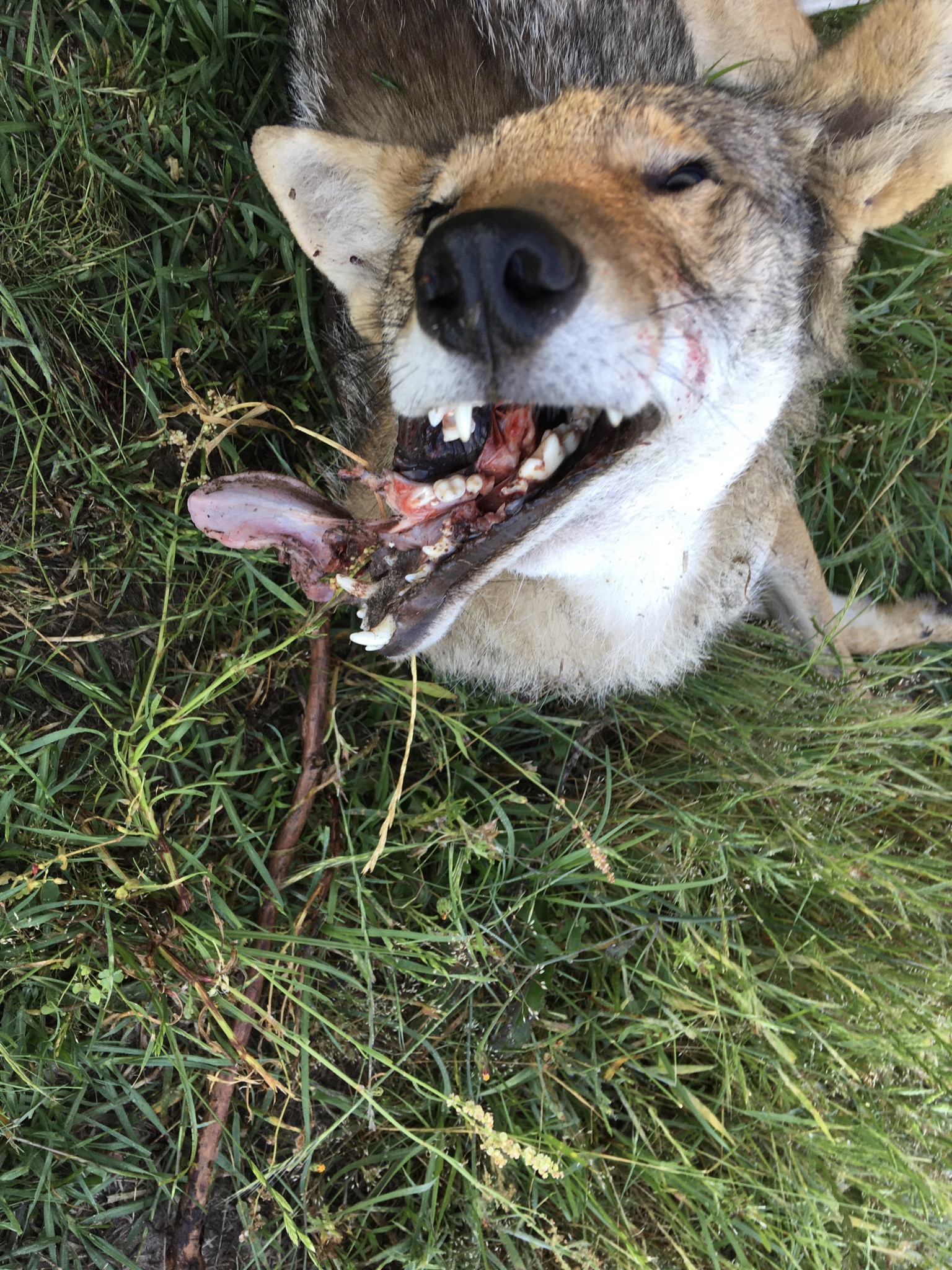 F073FB25-192B-400A-9FB2-E676733E345B.jpeg