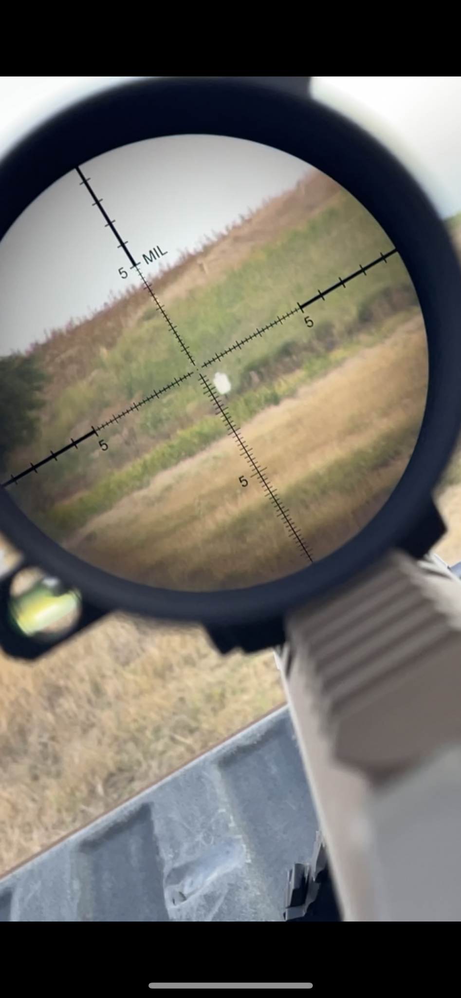 F07C4D86-82C0-443B-998E-497A31A81111.png