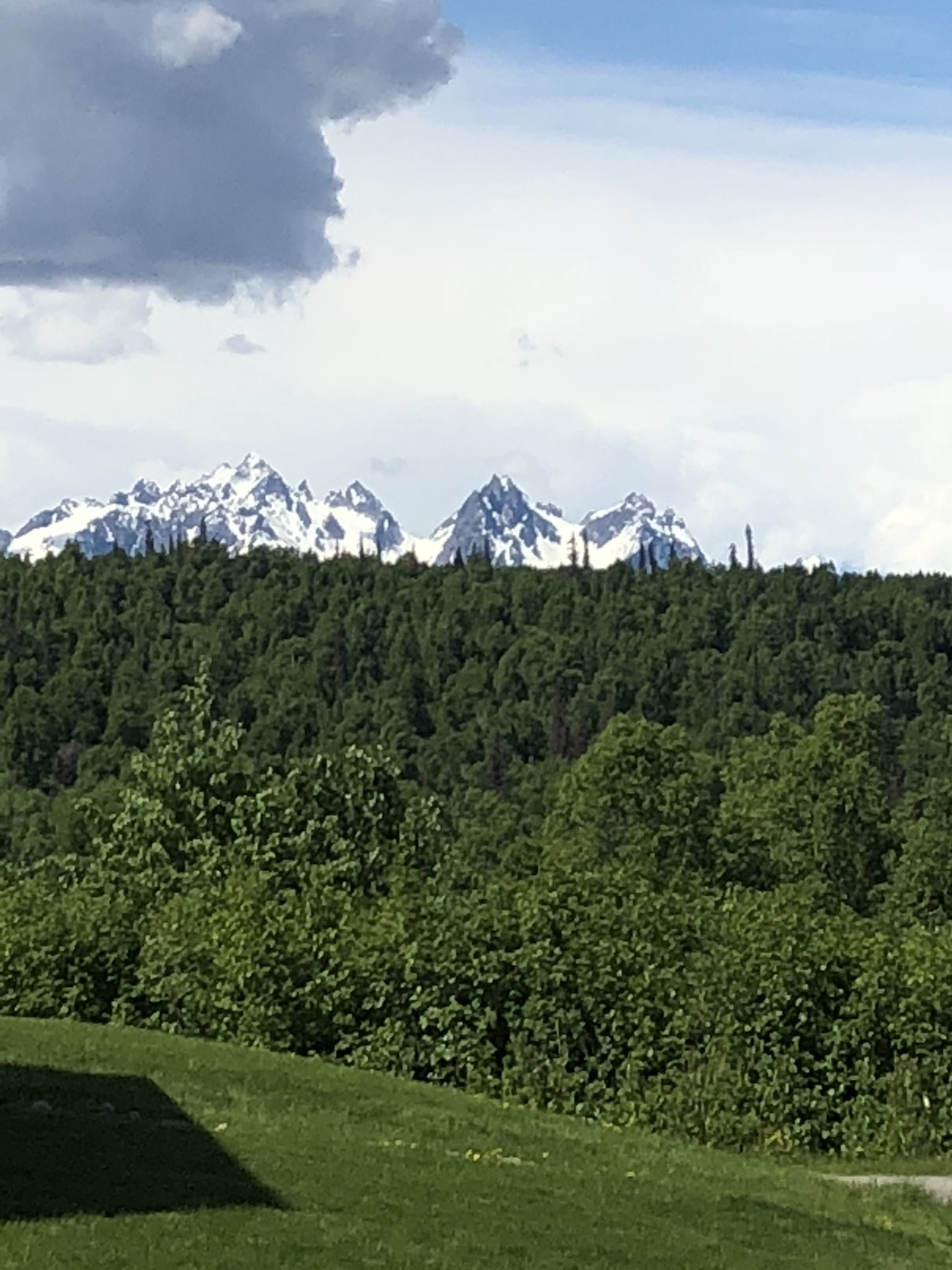 F103DD82-2176-412F-9D3E-5366167EF85A.jpeg