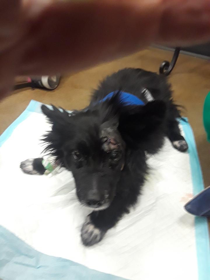 F1B63B4B-AD08-4DEC-97DA-EA80873C59CA.jpeg
