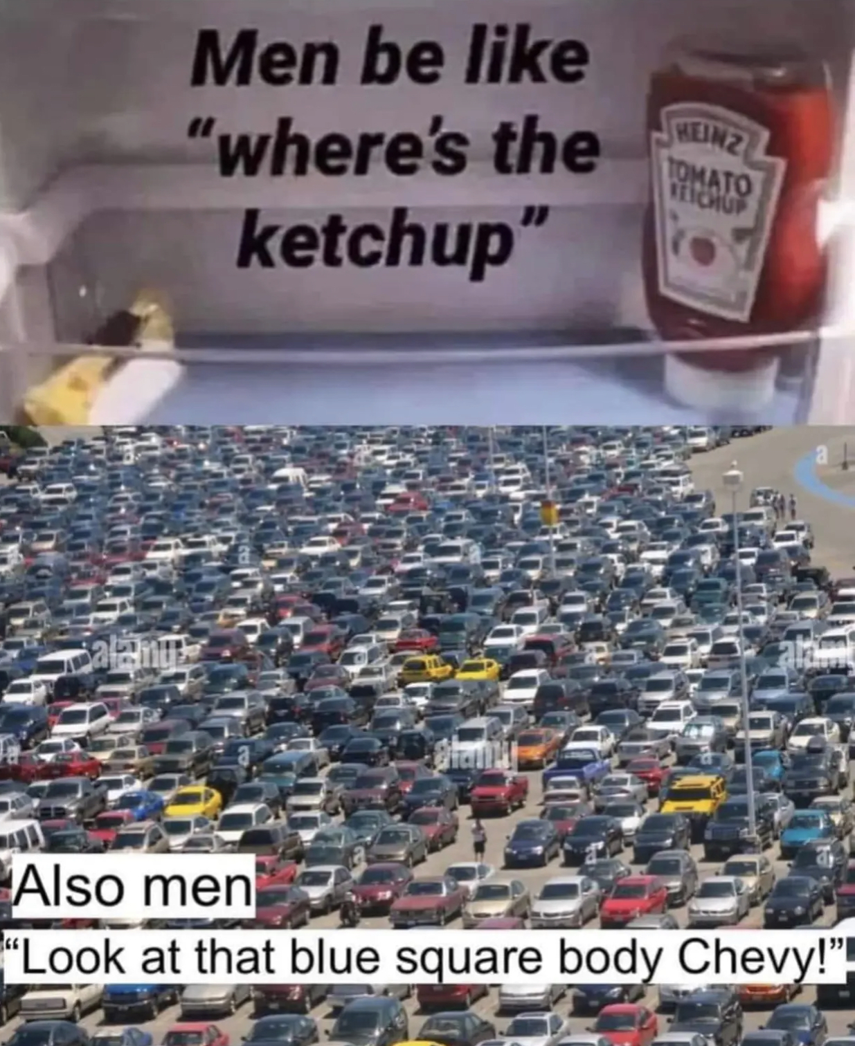 F1E53E53-0BE1-439F-BFBE-9923C63BEC7A.jpeg