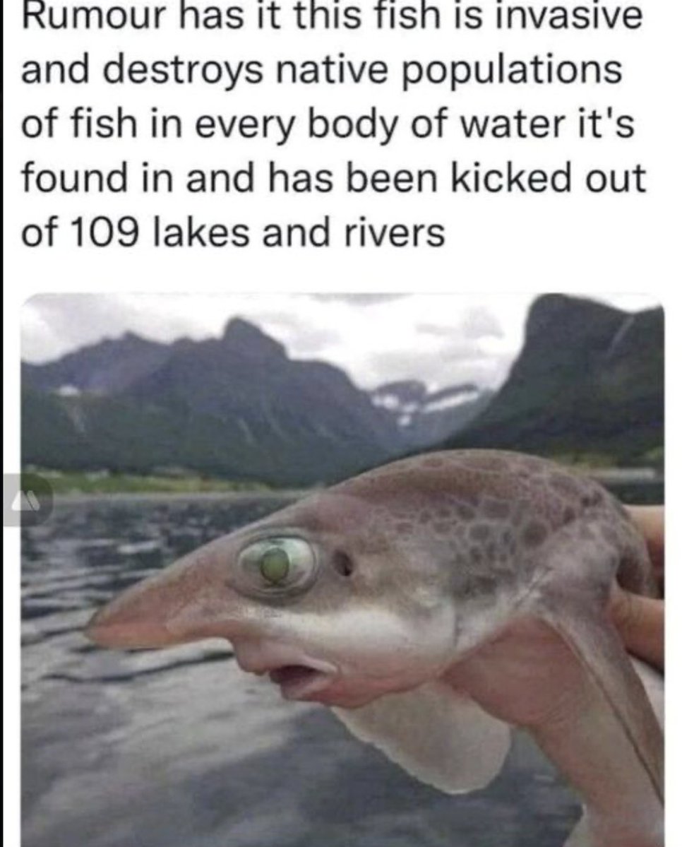 F1RXOAKWYAQjrl5.jpeg