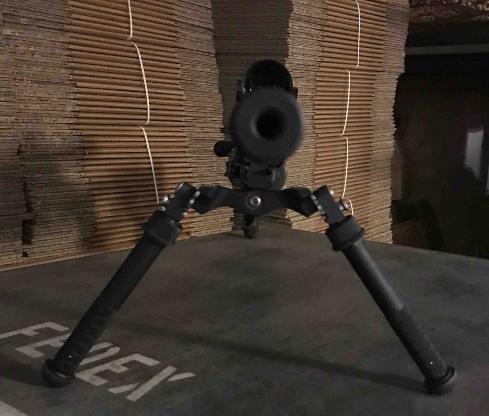 F2.jpg