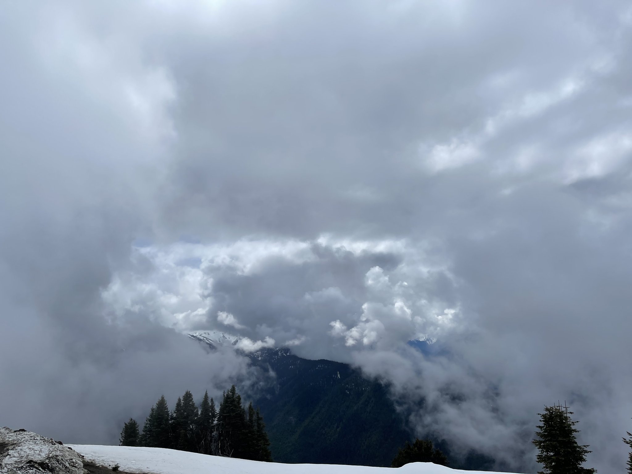F20928CA-CF7D-44F9-A97C-FBC1E25C7406.jpeg