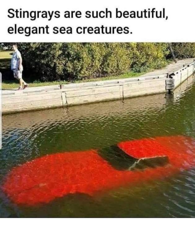 F20A93B5-D711-438C-93AF-3B242D0AF5AC.jpeg