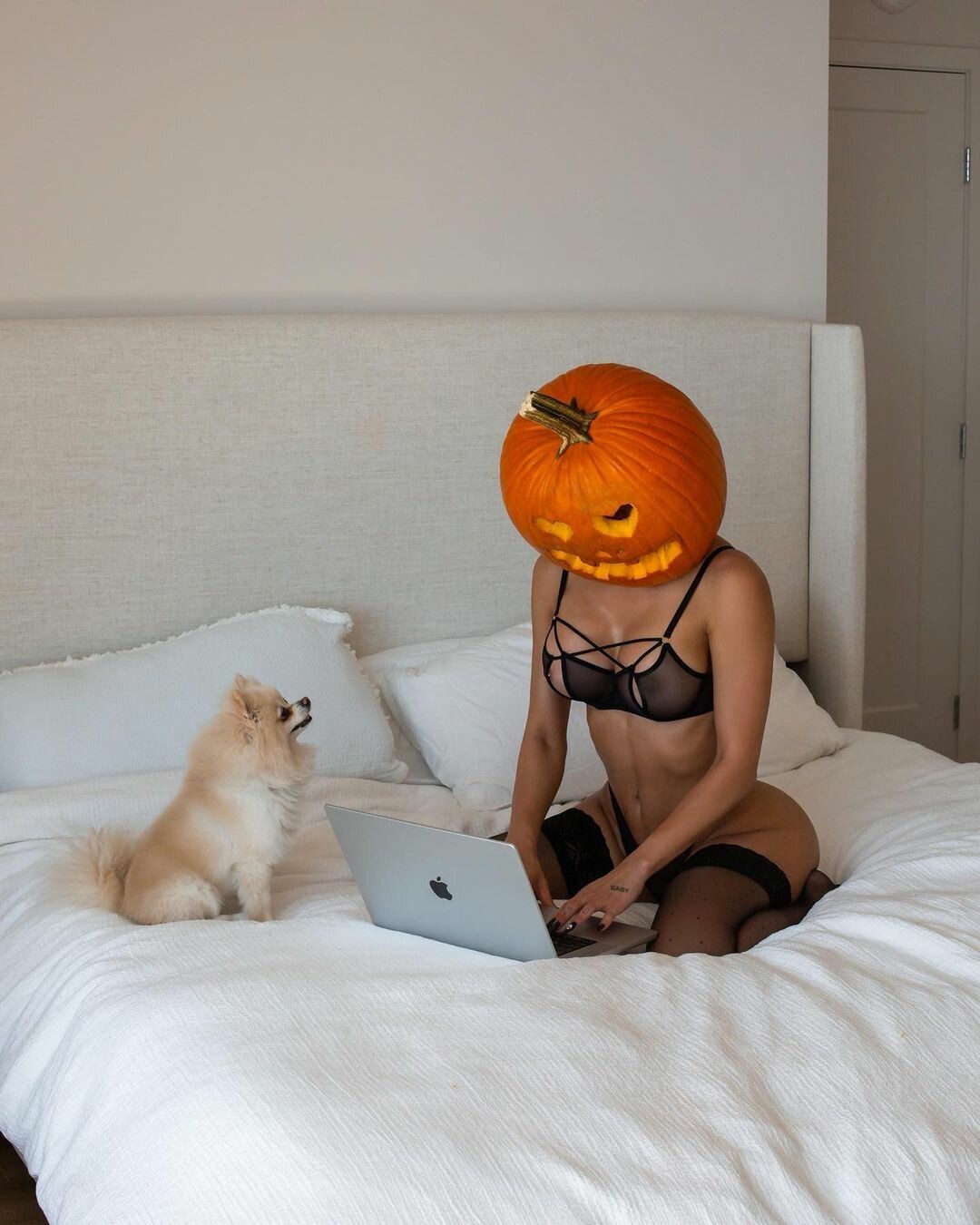 F2851AB1-ED76-4EF7-B784-661D7C95E0CF.jpeg