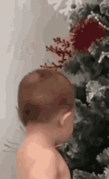 F2CF1A8C-FC43-48FE-9863-E74B81A4959E.gif