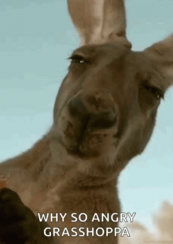 F365ED86-1256-486E-BFB9-D1911C088763.gif
