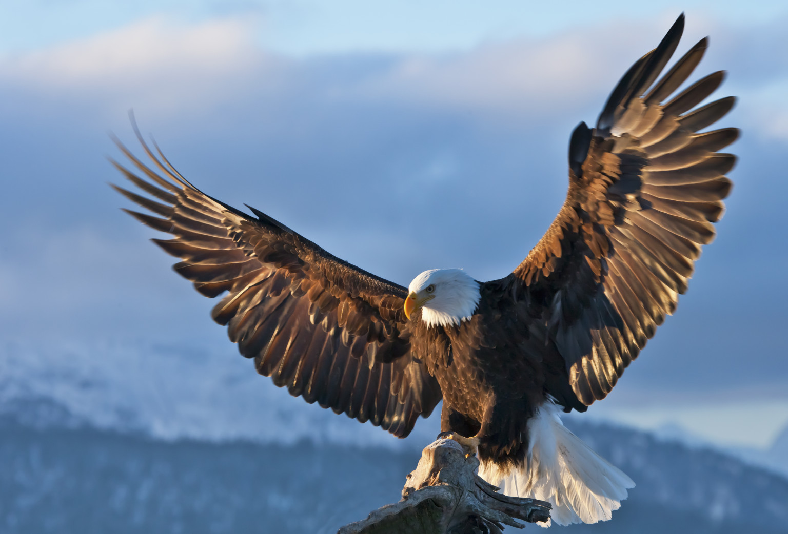 F3D2CC41-FA93-42C0-937F-24B3231F6C64.jpeg