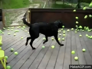 F41057B1-8D67-40EB-A026-04437FA9B1ED.gif