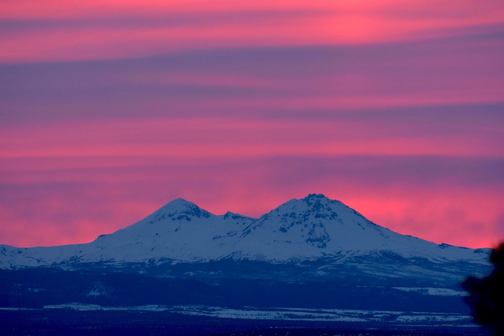 F4921C91-22D1-415B-AB96-C71C43C5F13D.jpeg