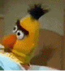 F4C84A2D-384B-4105-A98C-E2119F50DC91.gif