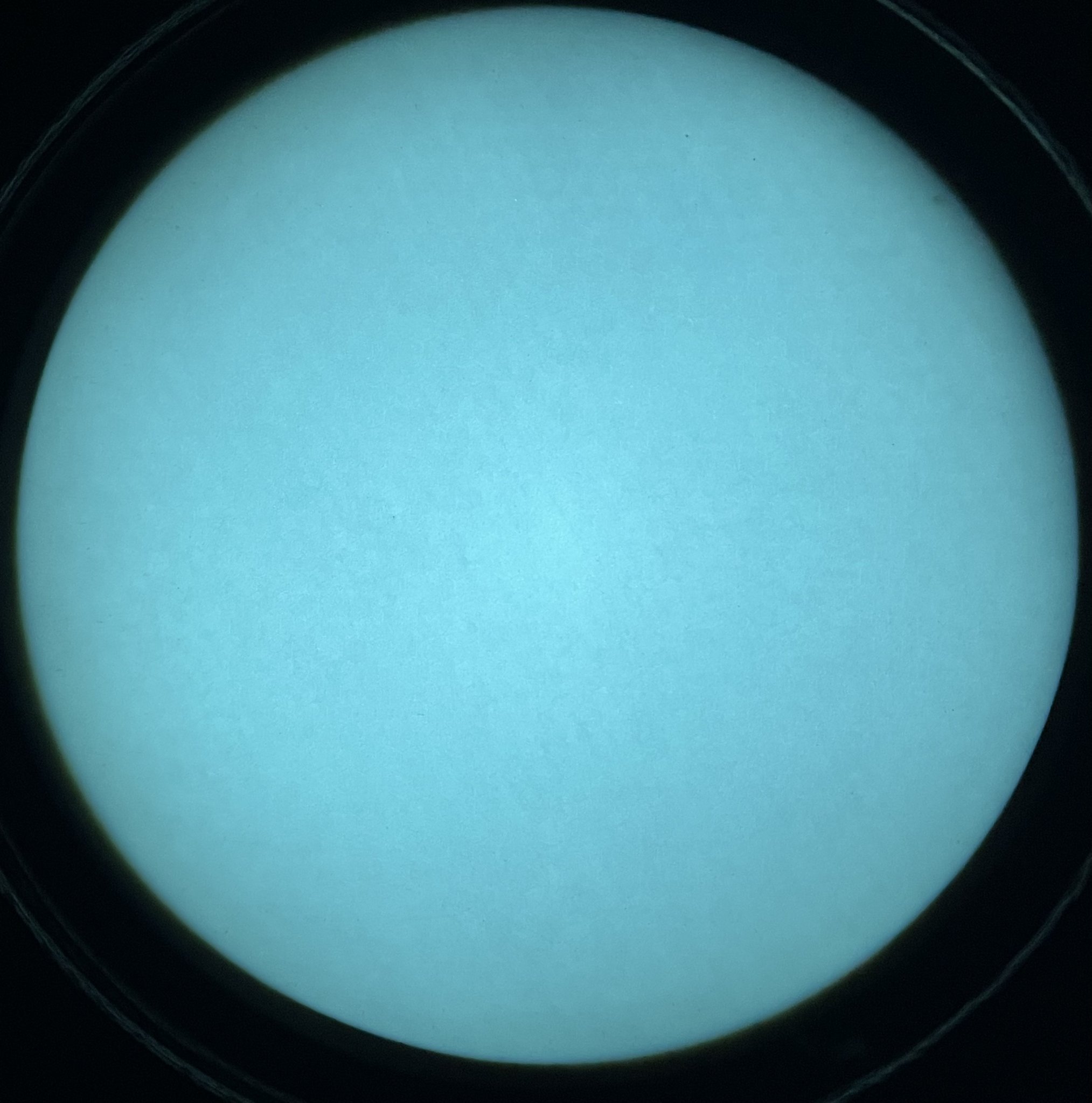 F54CB6CB-4C51-42B0-9781-2470731F94E6.jpeg