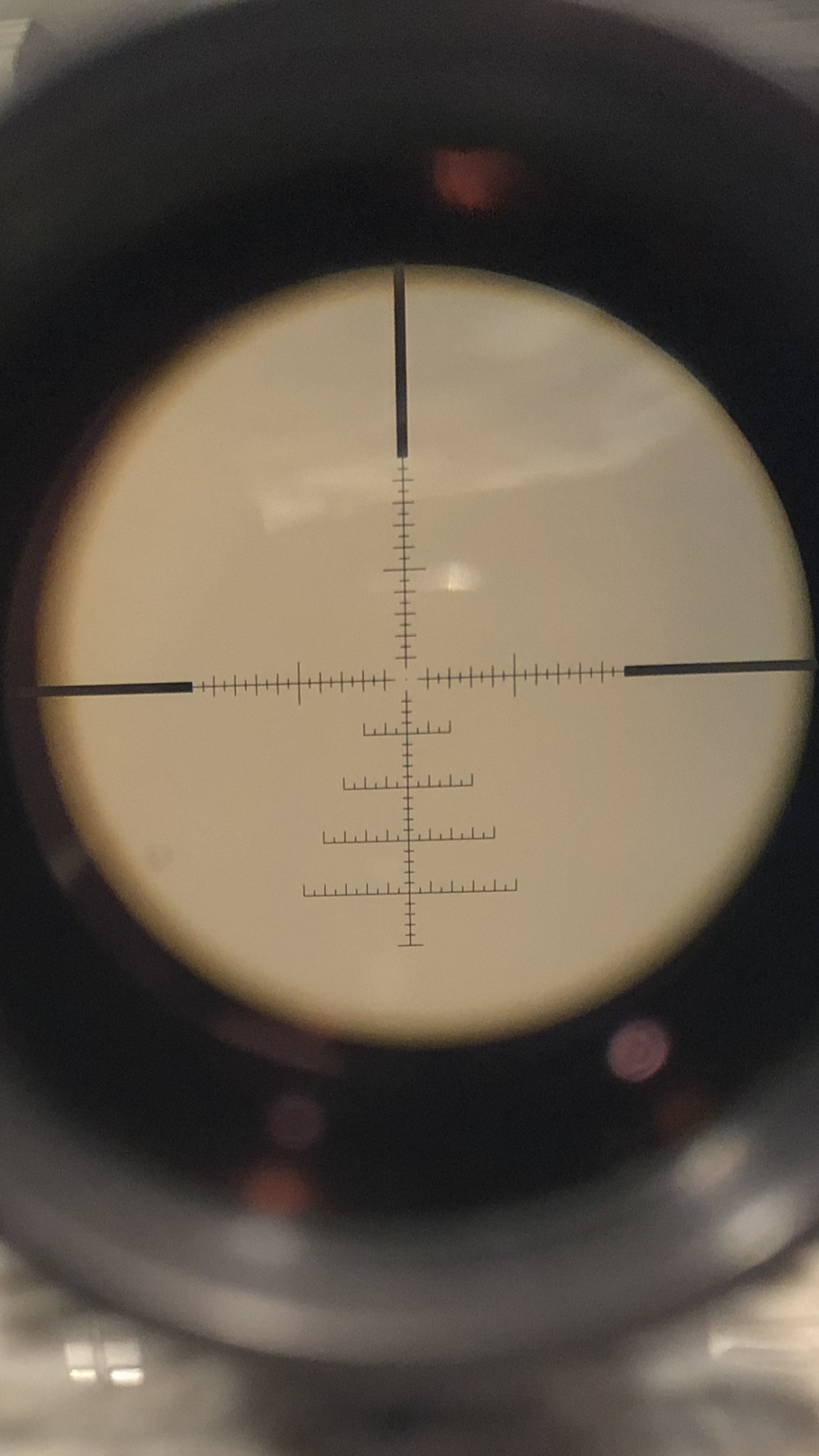 F5A16229-136A-4F81-833B-9C7476F569D6.png