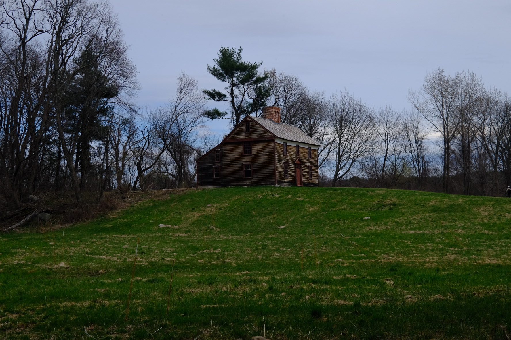 F6395349-DA21-404B-8077-BE3F21FBCBF8.jpeg