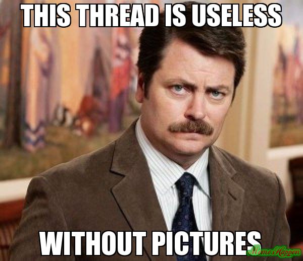 F68FC4FA-239D-4791-A24B-B86D3BA8235B.jpeg
