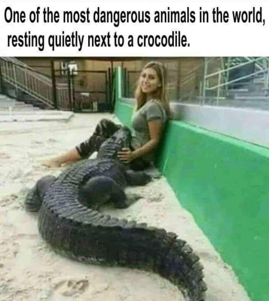 F784617D-1005-46F3-A7B0-FB0166499C23.jpeg