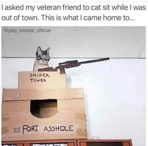 F79E98A6-F4BB-43A1-9D28-C20E6B000AA2.jpeg