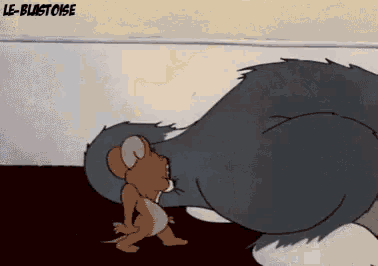F85C10D4-BE23-4FE1-91DF-77163A81D2A0.gif