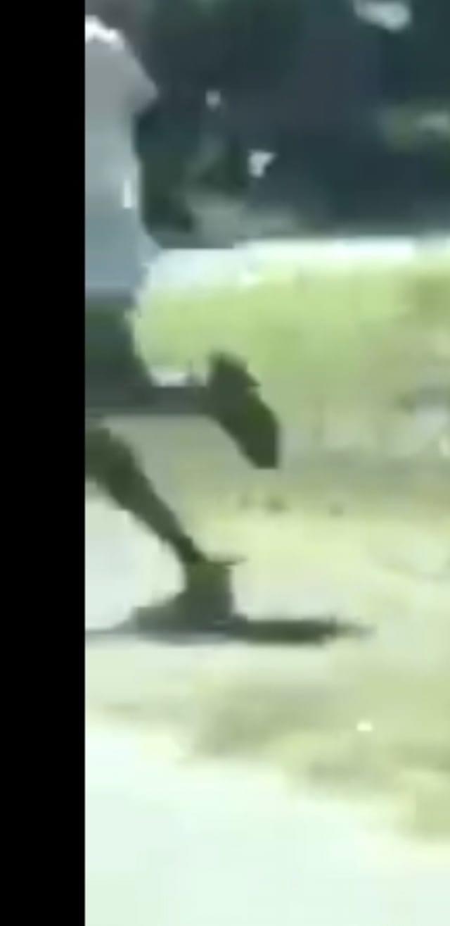 F86403F6-FAC3-4F0E-BA63-51B0AF27ECEF.jpeg