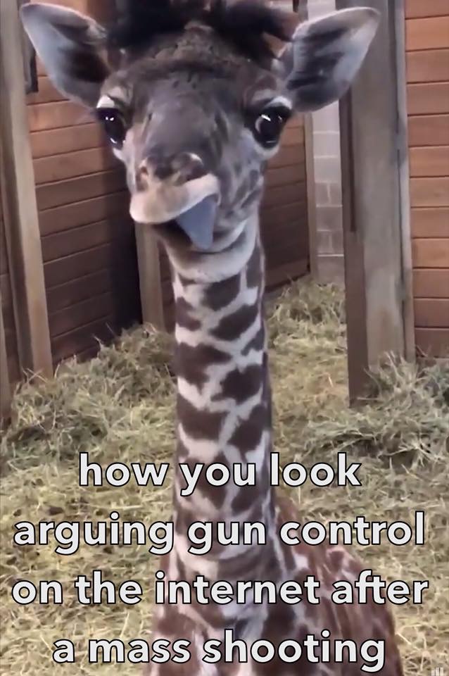 F88A7743-F1B7-4BCF-934C-C8C3F21B2FDA.jpeg