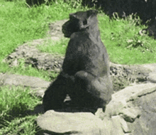 F9234284-EB3A-4AB8-B760-B3B0560FCD82.gif