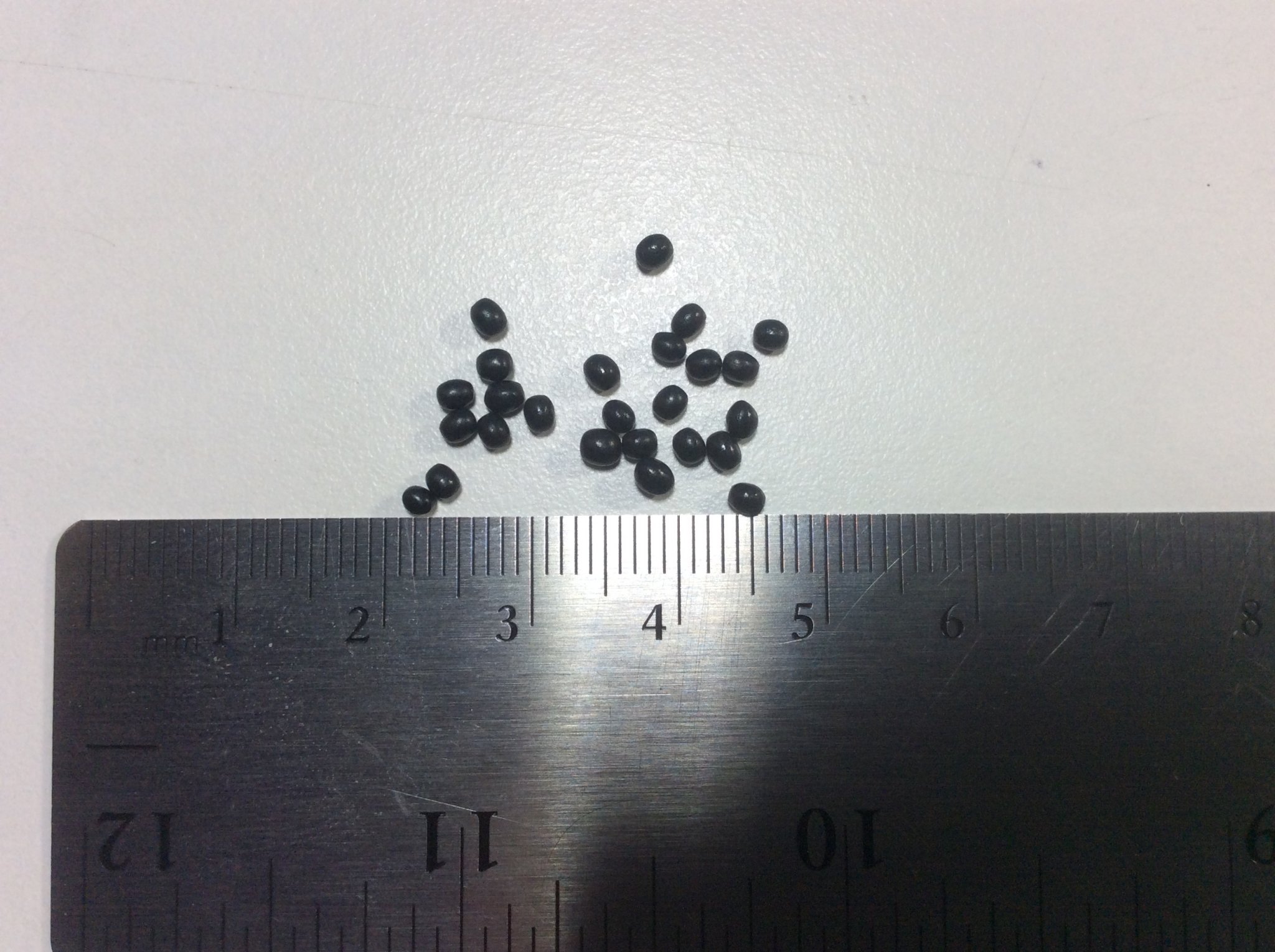 F9354621-24A8-4C05-8984-FF03CDCB92BE.jpeg