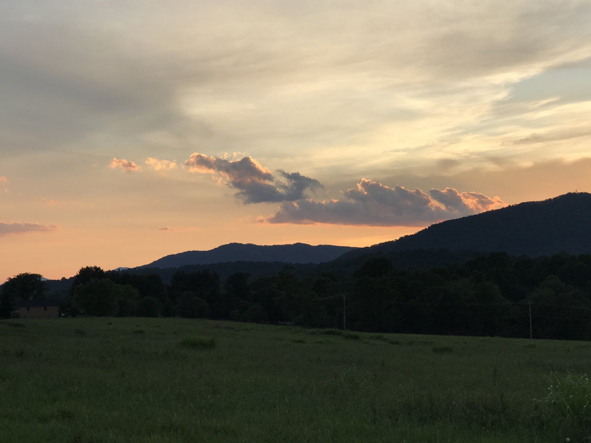 FAA279FF-2386-4FE7-ADA3-A7B259EDFCF1.jpeg