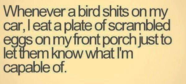 facebook_1582662406056001.jpg