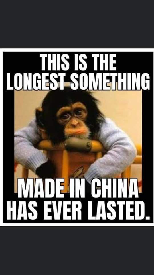 facebook_1586456397526_236609773109939.jpg