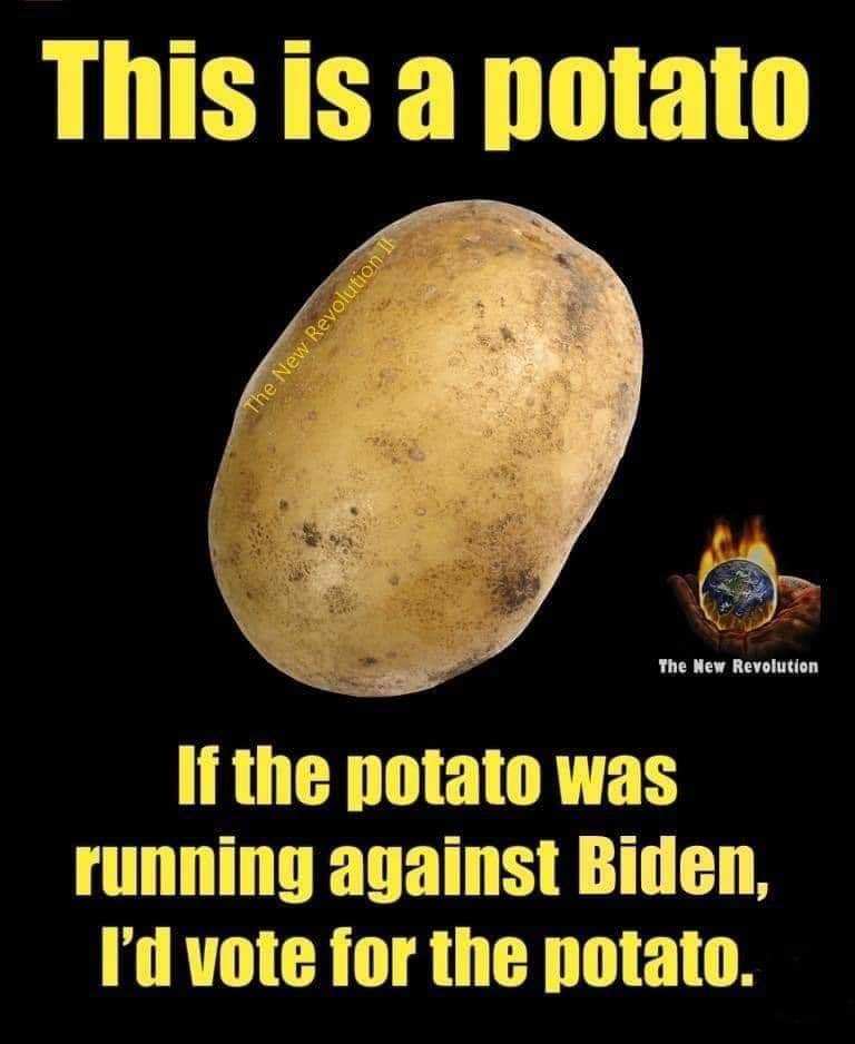 facebook_1590716093853_6671946875312795852_311306313430038.jpg