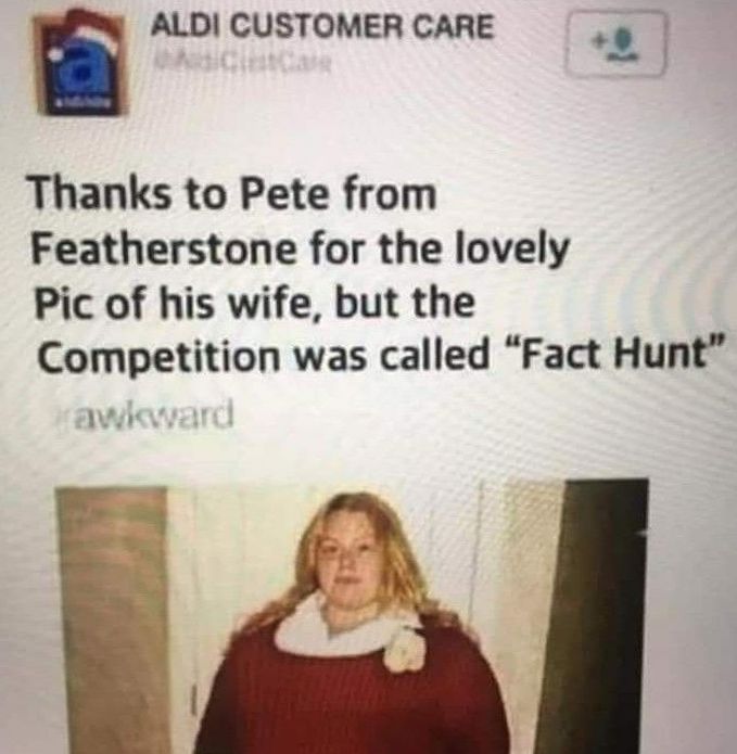 fact-hunt.jpg