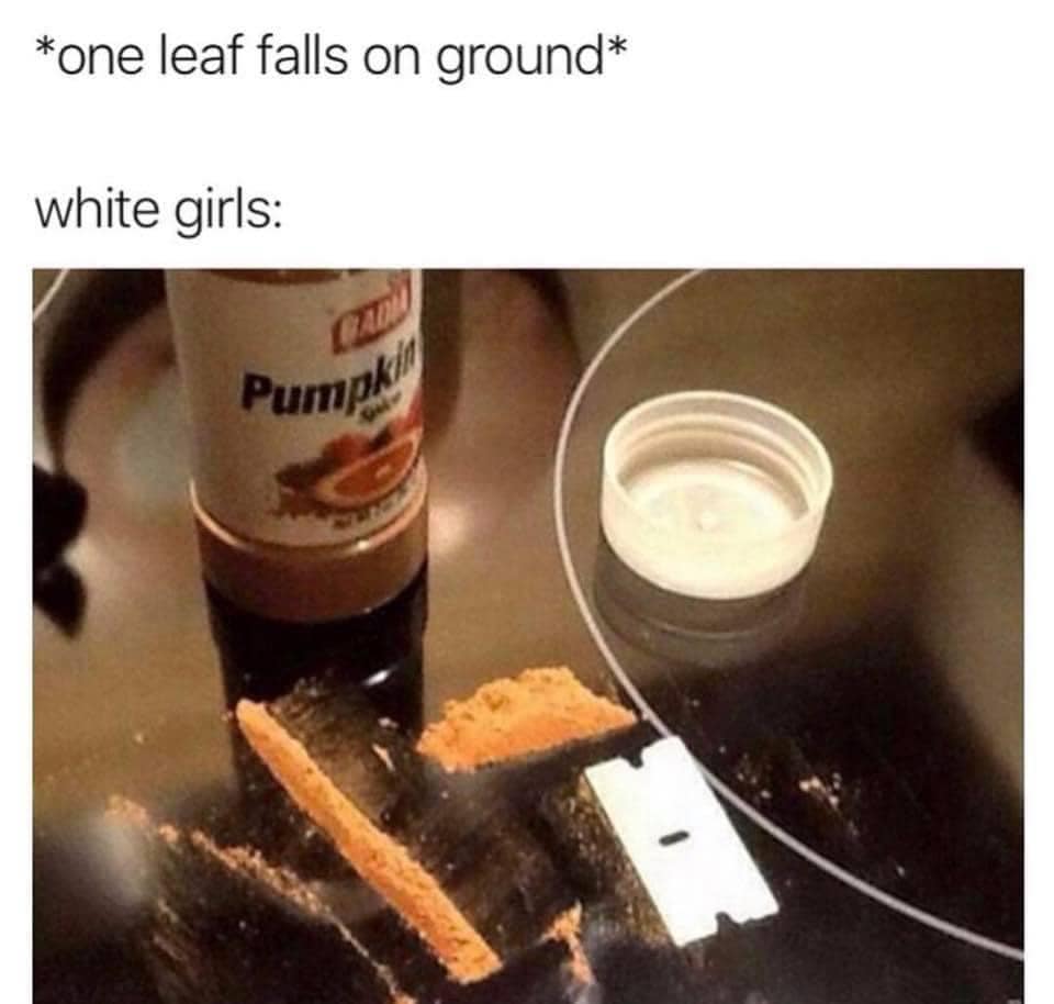 fall.jpg