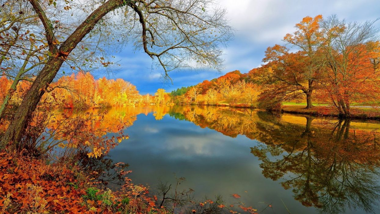 fall lake.jpeg