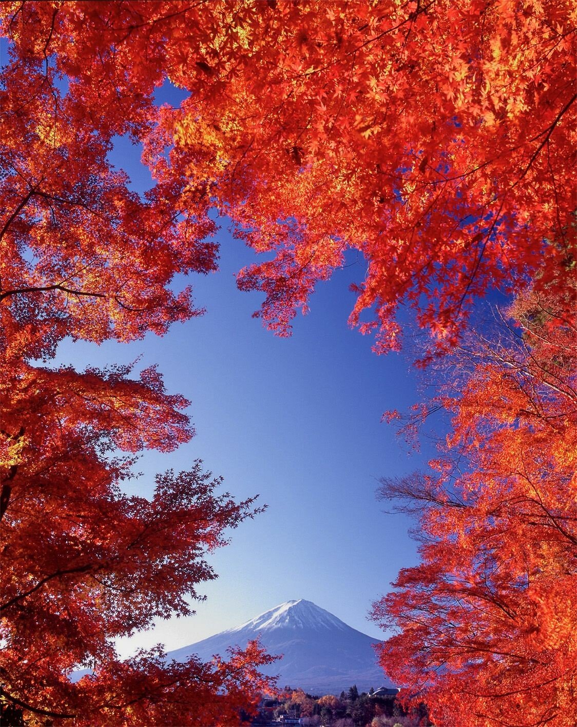 fall mtn.jpg