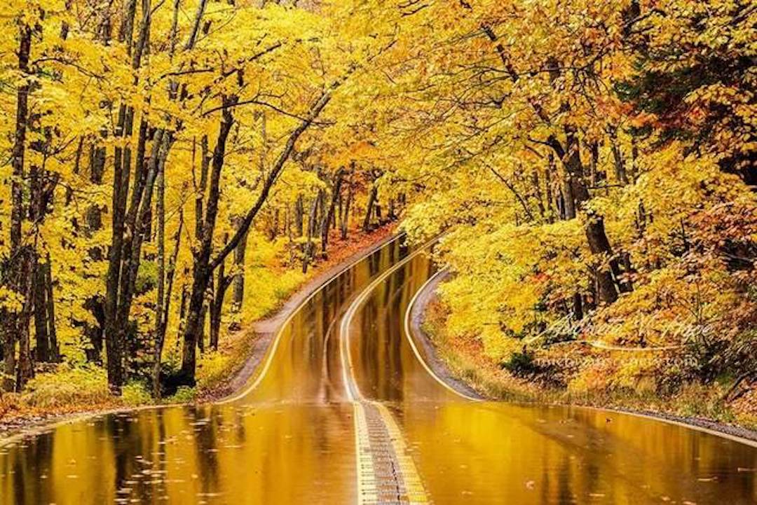 fall road.jpg