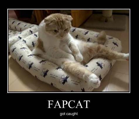 fap.jpg